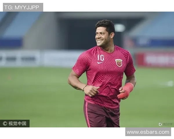 蔡慧康与胡尔克的对决谁能在赛场上笑到最后解析两位球员的实力与影响力