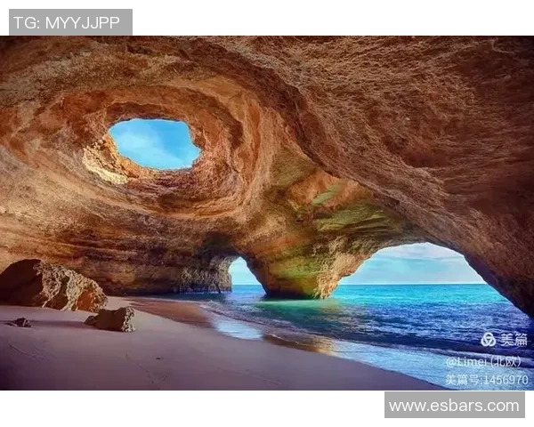 葡萄牙与阿尔及利亚的精彩对决揭示足球魅力与国家荣誉的碰撞