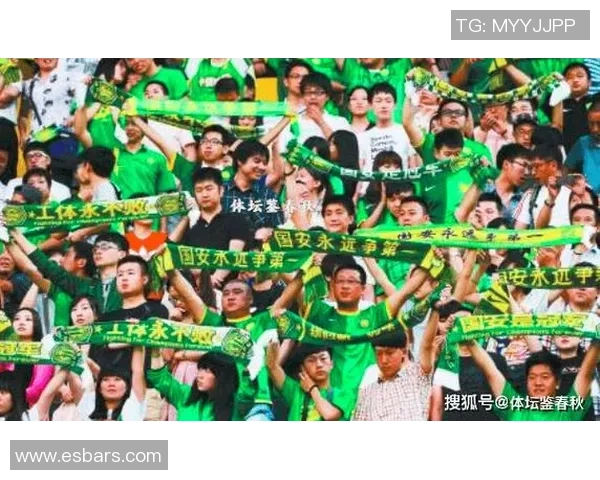 国安与浦项激烈对抗引发场内冲突球迷热议赛场暴力事件