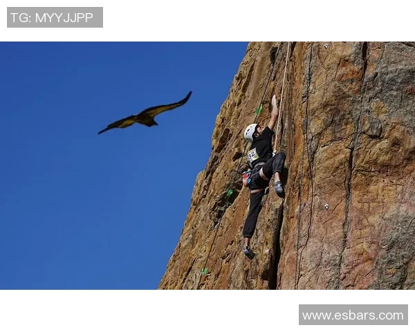 杭州攀岩队耐力表现分析及训练效果评估研究报告MBA