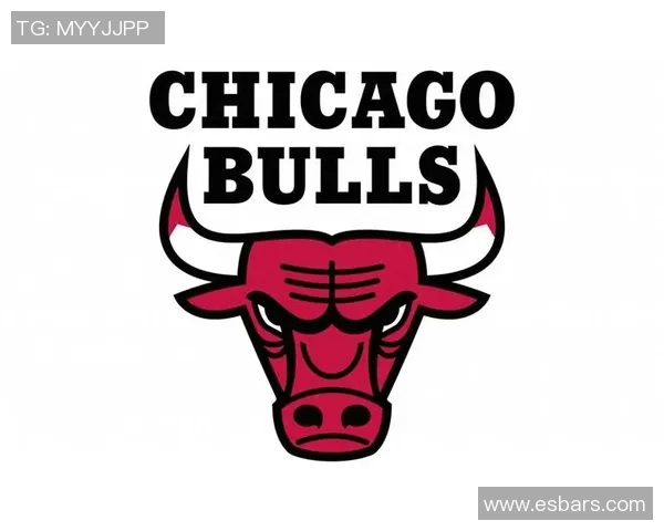 2009年NBA季后赛热火与公牛精彩对决录像回放全程回顾与分析