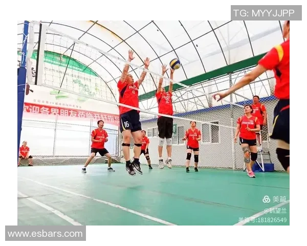 杭州排球队领跑最新排球节奏TOP10榜单引发热议