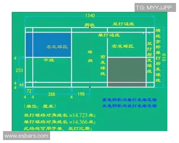 武汉羽毛球队整体压制打法深度分析与战术解读