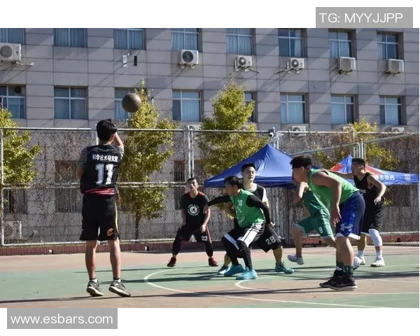 篮球明星村的传奇故事与梦想追逐之旅