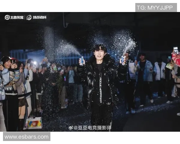 TES战队的荣耀与挑战：精英赛背后的奋斗故事与成长历程