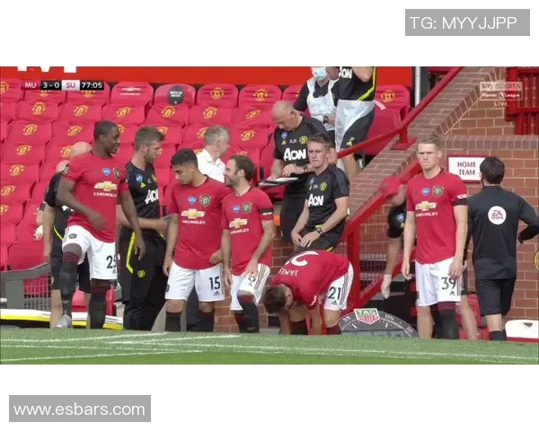 成都排球队的蜕变之旅：从地方强队到世界杯预选赛的追梦之路